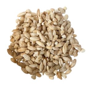 CEBADA EN GRANO - EL CAUNZAL