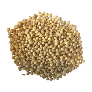 MIJO BLANCO EL CAUNZAL