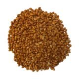 MIJO ROJO EL CAUNZAL