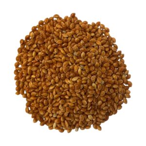 MIJO ROJO EL CAUNZAL