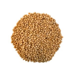 MOSTAZA AMARILLA - EL CAUNZA