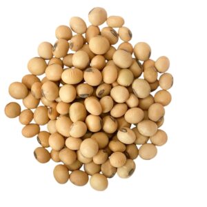 SOYA EN GRANO - EL CAUNZAL