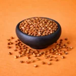 SORGO EN GRANO